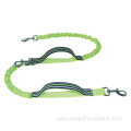 Double Soft Padded Handle Dog Puppy Leash Dog
